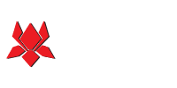 Laxmi Steels Logo